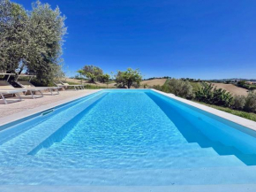 Historic farmhouse in Senigallia with swimming pool, barbecue, gym, olive grove and garden